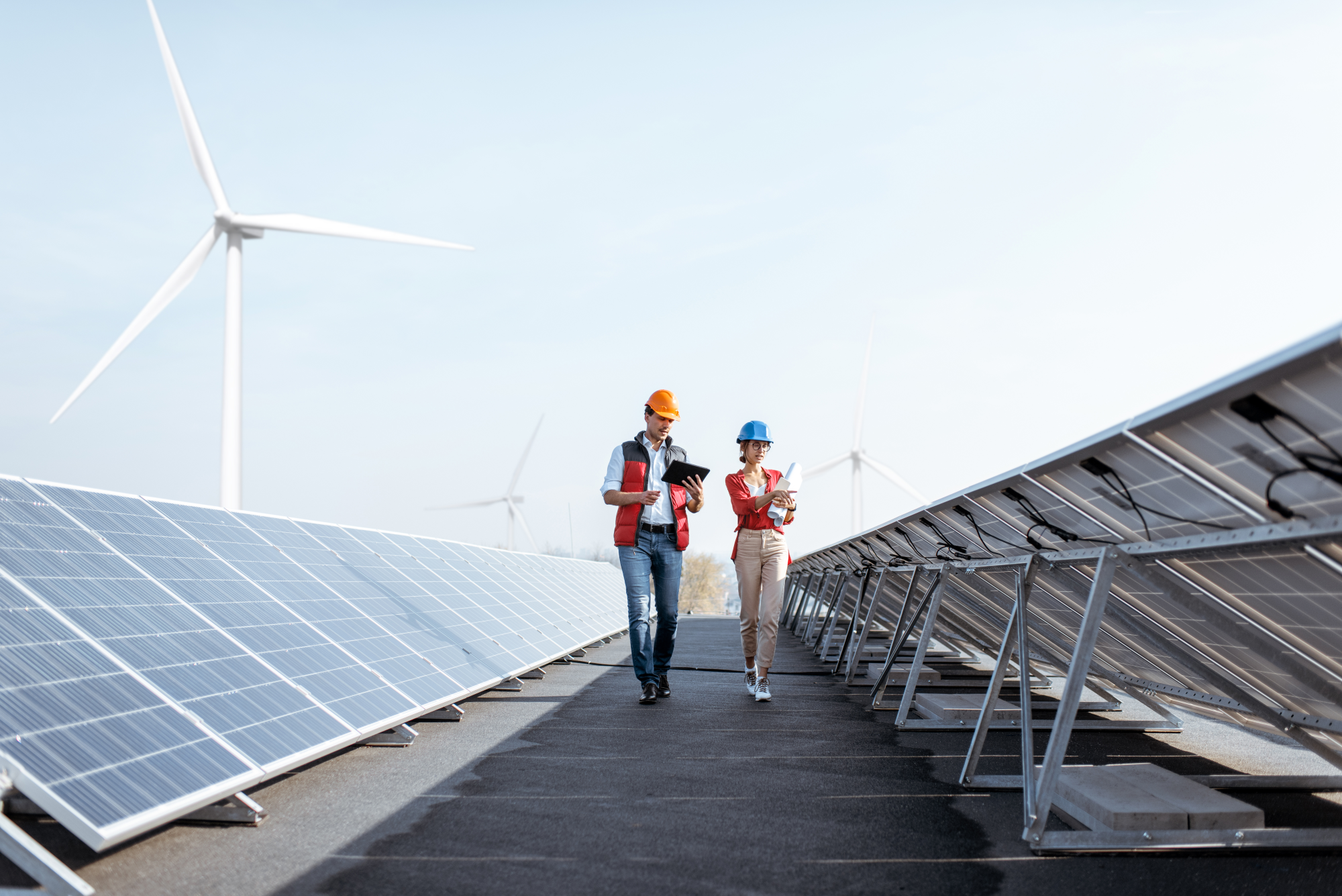 sustainability-survey-report-1